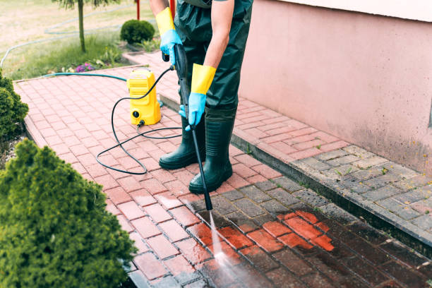 Animal Enclosure Cleaning in Dundas, MN